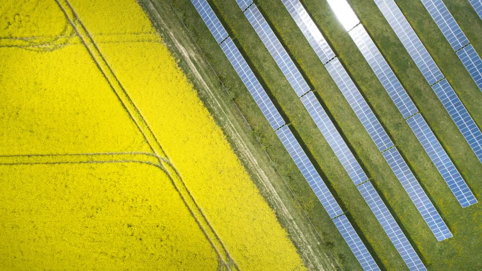 Field and solar panels