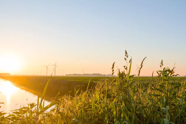 Illustrative picture with wind turbines and grass