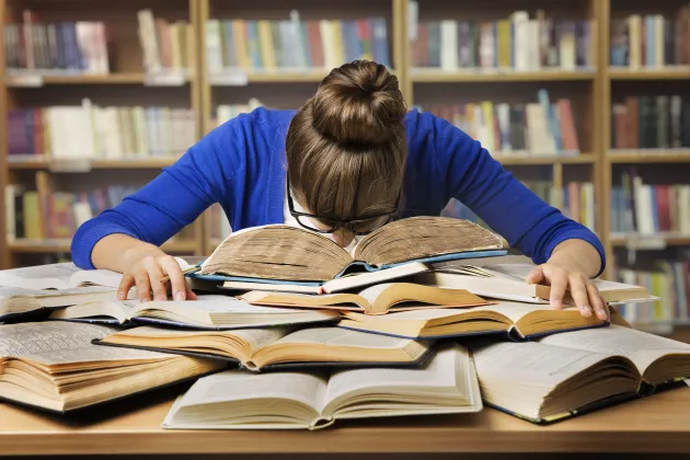 Student on pile of books. Photo.