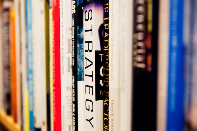 Books in a shelf. Photo