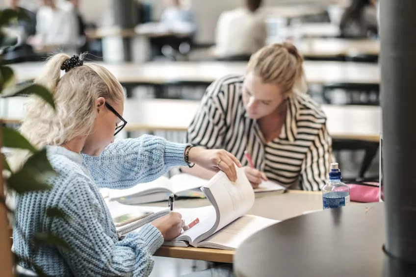 Students studying