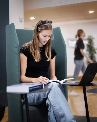 Student sitting in an armchair reading. Photo.